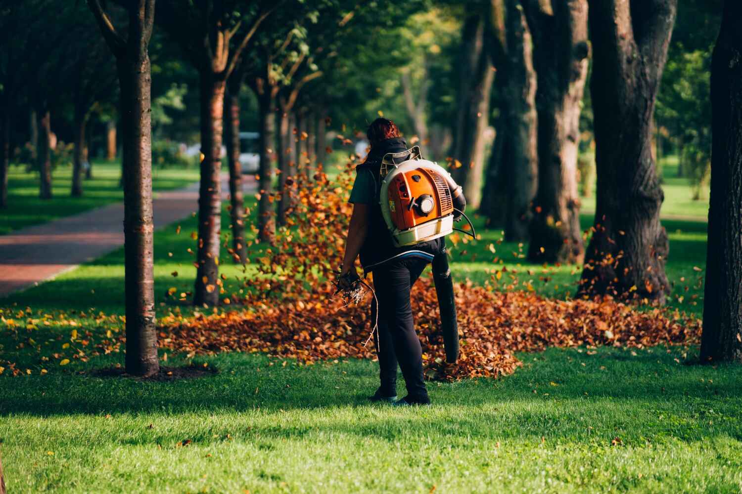 Best Tree Clearing Services  in Haledon, NJ